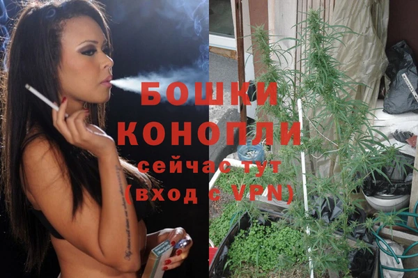 сатива Алексеевка
