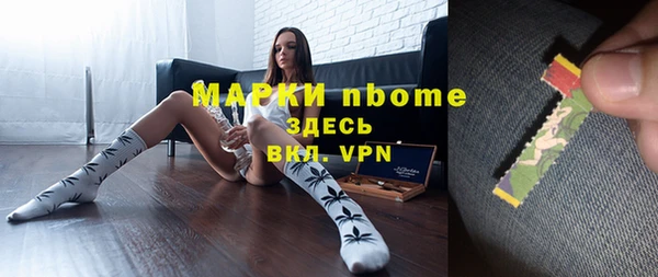 сатива Алексеевка