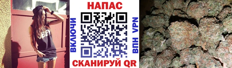 Бошки Шишки SATIVA & INDICA Оса